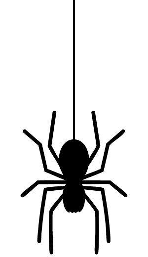 Araña decorativa
