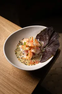 Wasabi
