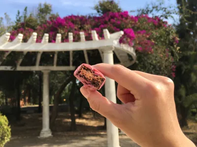 Trufas de corazón