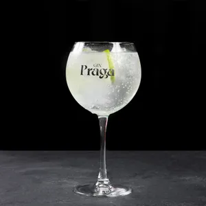 Gin Tonic