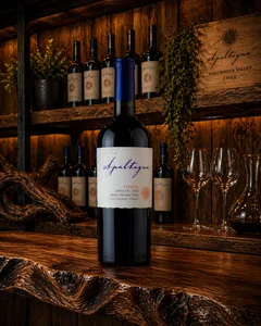 Apaltagua. Merlot