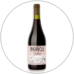 A Los Viñateros Bravos - Cinsault *