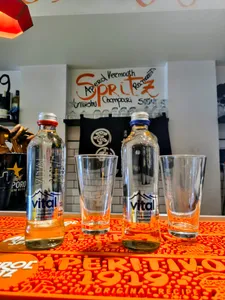Agua Vital 330cc