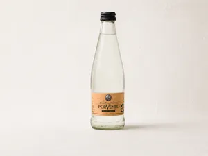 Agua mineral con gas 330 cc