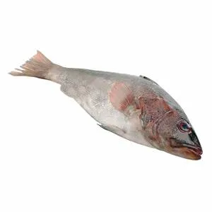 Cabrilla Entero ( 1kg)
