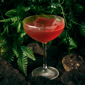 Negroni d' Autore