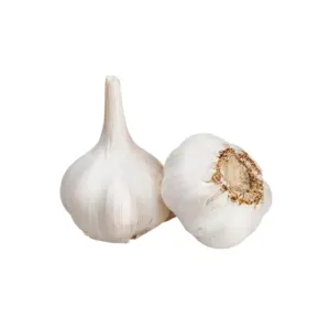 Ajo