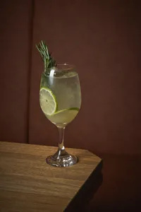 Gin Tradicional