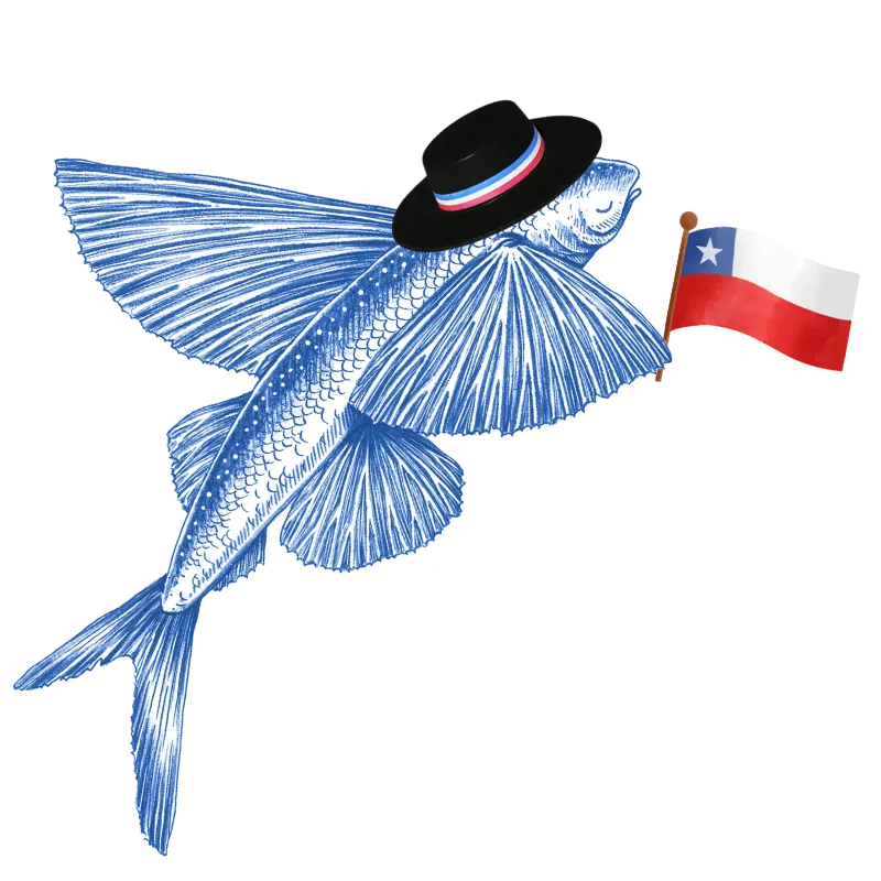 Volantín volando