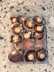 Ostión Media Concha 1kg.