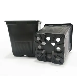 Maceta cuadrada VQF 11x11x15,5 pack 10 unidades