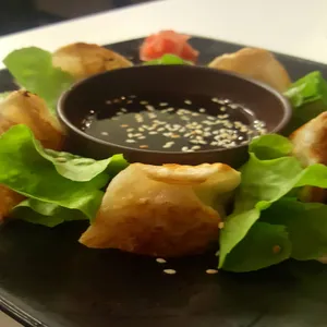Gyozas mixtas