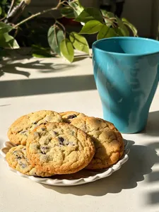 Galleta Choco Chips