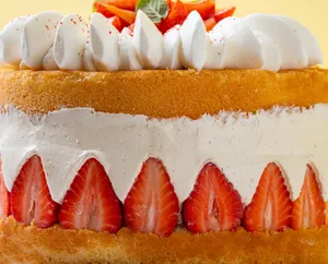 Fraisier
