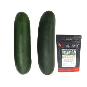 Semilla Plantec Pepino Cobra