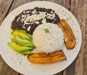 Pabellón vegetariano