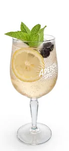 St Germain Spritz