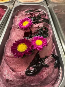 Calafate de Punta Arenas 550 ml