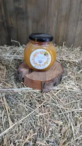 Miel Ulmo Aurea 500 Kg