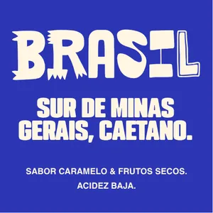 Brasil | Sur Minas Gerais