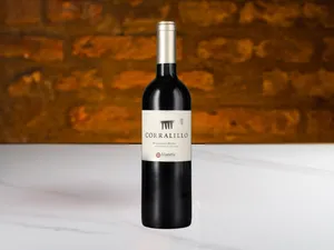 Ensamblaje Matetic  - Corralillo - San Antonio