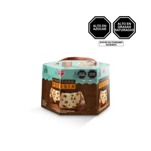 Paneton San Jorge Poessia Caja x 500 g