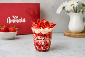 Super Fresas con Crema Vitalú (12oz)
