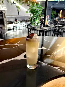 Novo Collins