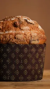 Panettone Chocolate