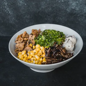 Gohan Especial Vegan