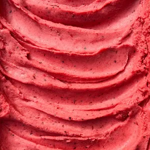 Frutos del Bosque (Al Agua) 🌱 - Helado