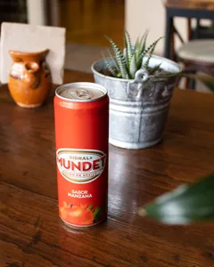 Sidral mundet 355ml