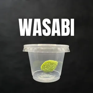 Wasabi