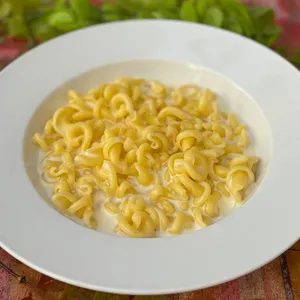 Espiral Con Salsa Bechamel