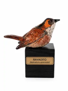 Rayadito