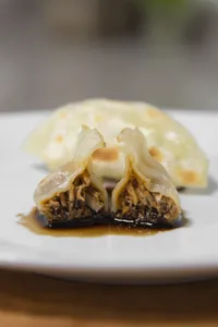 Gyozas mechada de res