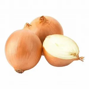 Cebolla blanca