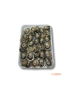 Ostras medianas (50 unidades)