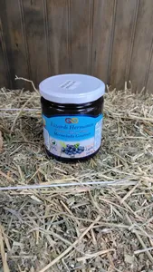 Mermelada Light Lizardi 500 Gr Arandano