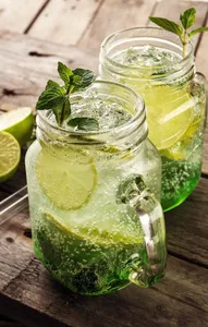 Mojito Botella 1 lt