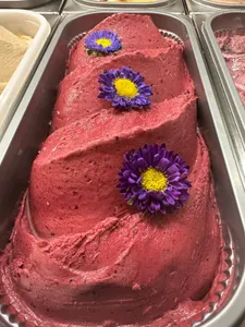 Maqui Zona Sur 550 ml