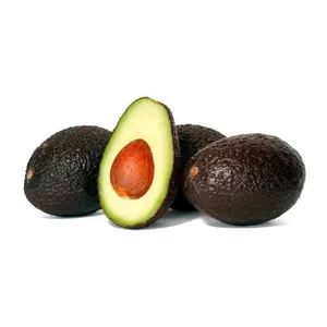 PALTA KG