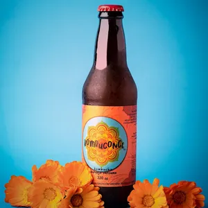 Kombucha Naranja Curcuma 330 ml
