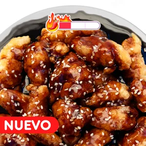 Fondo K Chicken Teriyaki Spicy