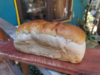 Pan Masamadre Molde tipo Brioche