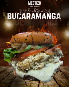 Ham. Bucaramanga