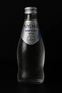 Agua C/gas Puyehue 330ml