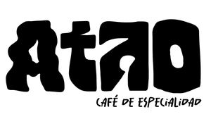 MICROLOTE 2
