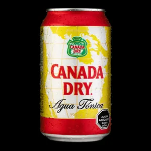 Agua Tonica Canada Dry 350cc