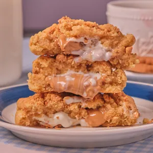 Galleta Biscookie